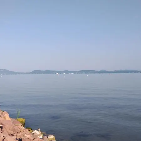 Platan With Lakeview *